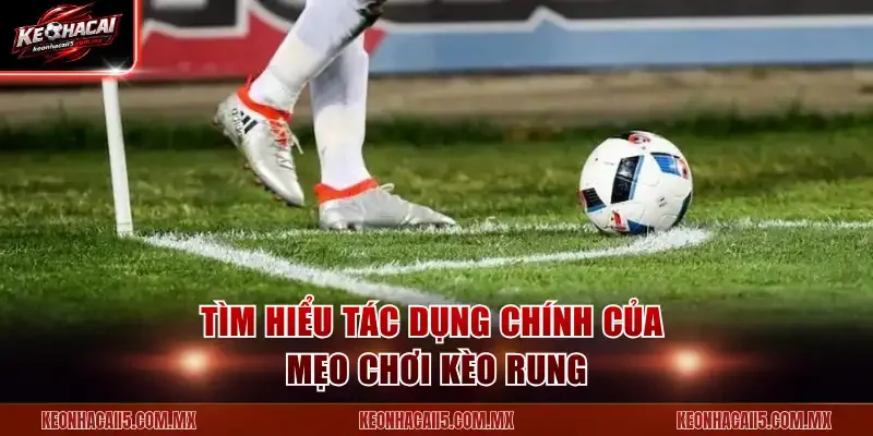 Tìm hiểu tác dụng chính của mẹo chơi kèo rung