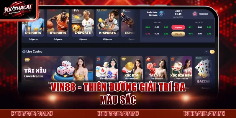 VIN88 - Thiên đường giải trí đa màu sắc