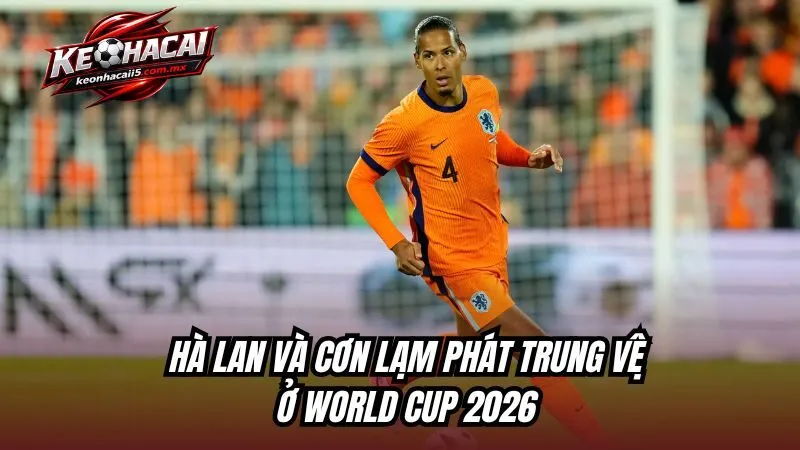 Hà Lan và cơn “lạm phát” trung vệ ở World Cup 2026